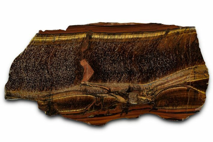 Polished Tiger's Eye Slab - South Africa #355289